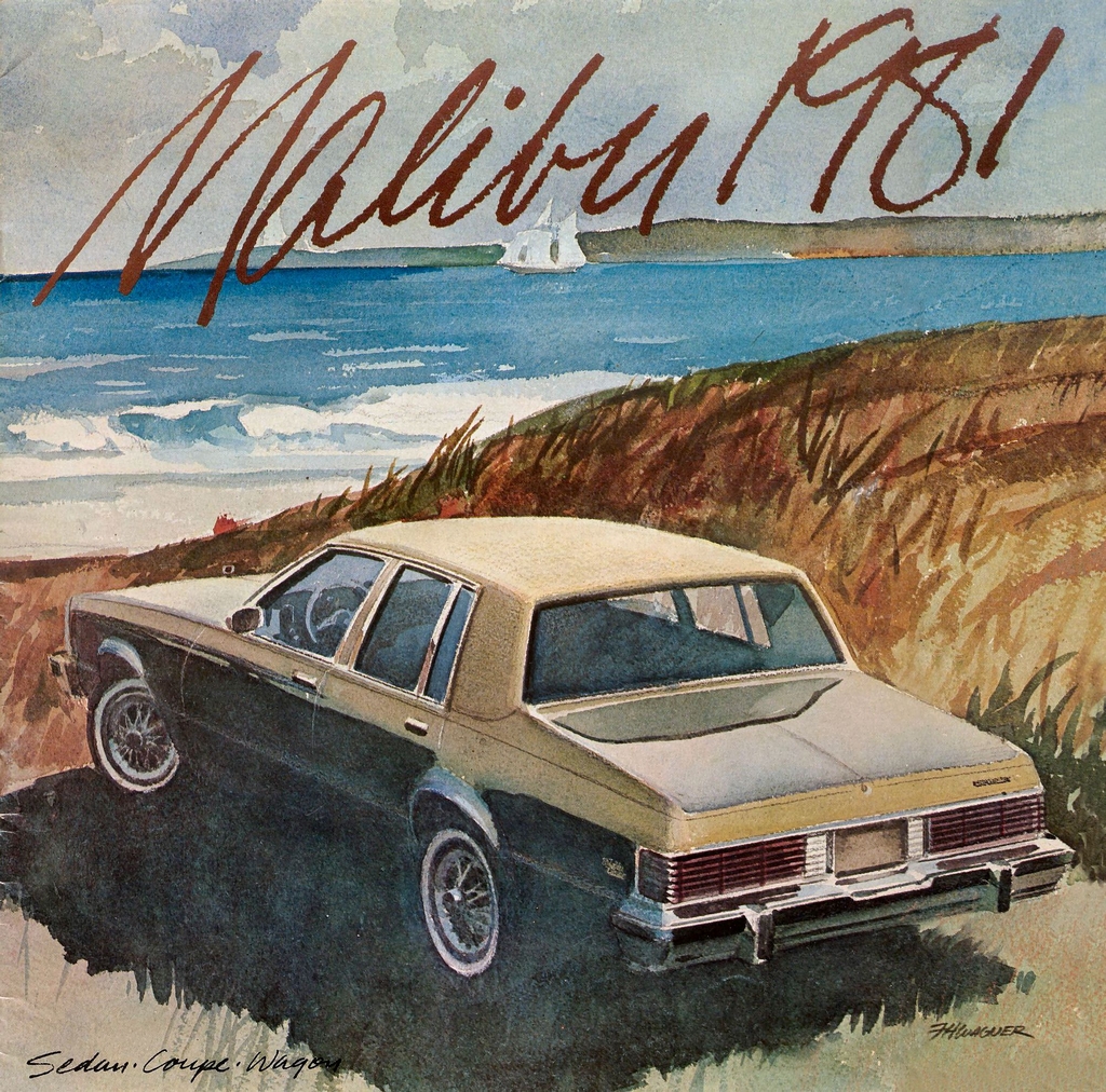 n_1981 Chevrolet Malibu-01.jpg